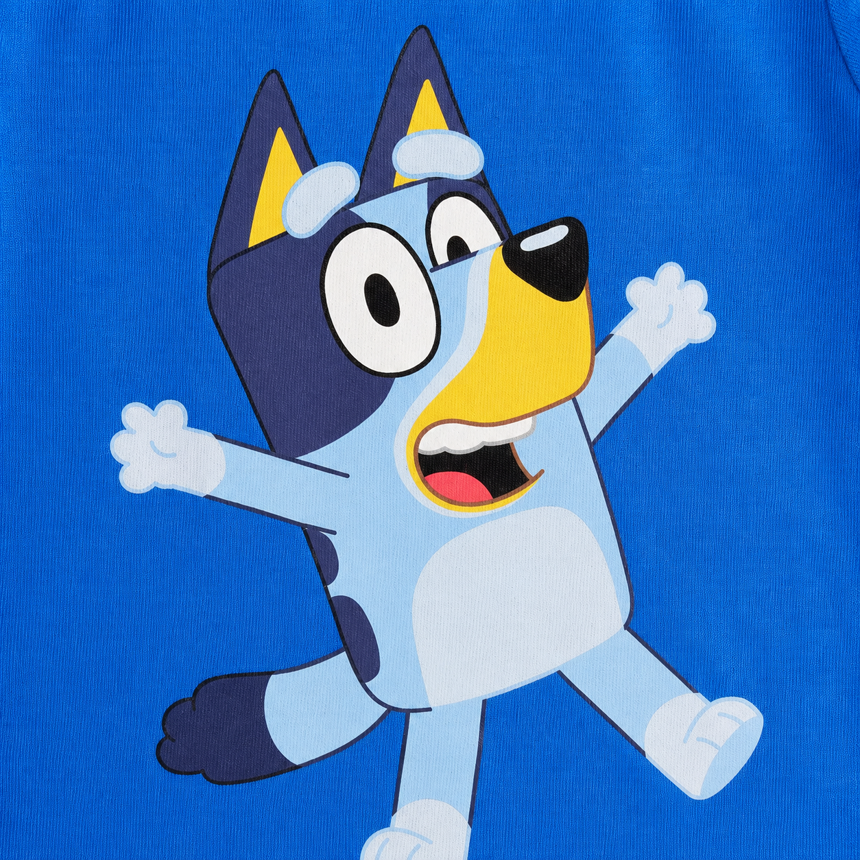 Playera Bluey Para Niños