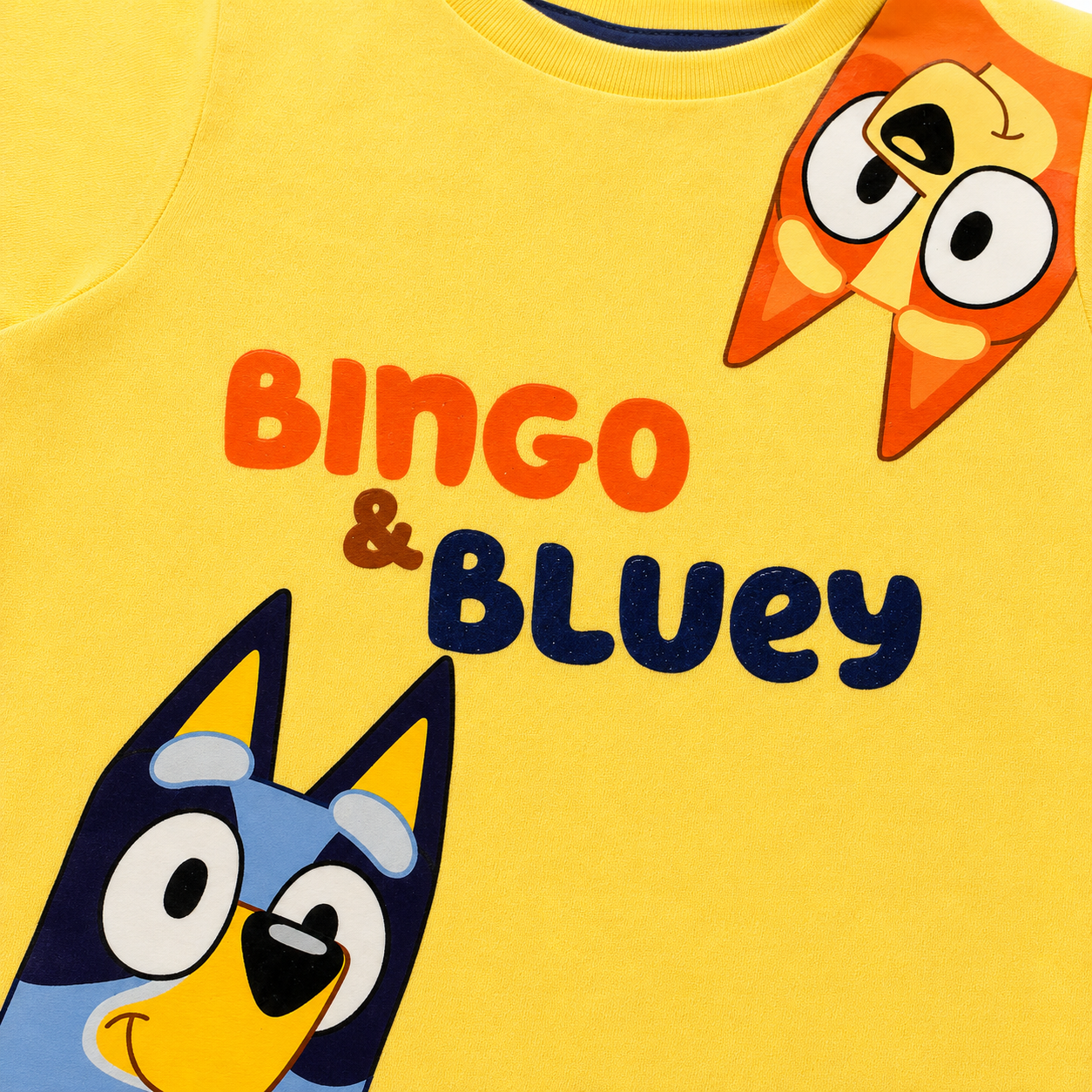 Conjunto Bluey Y Bingo Para Niños Shorts Y Playera