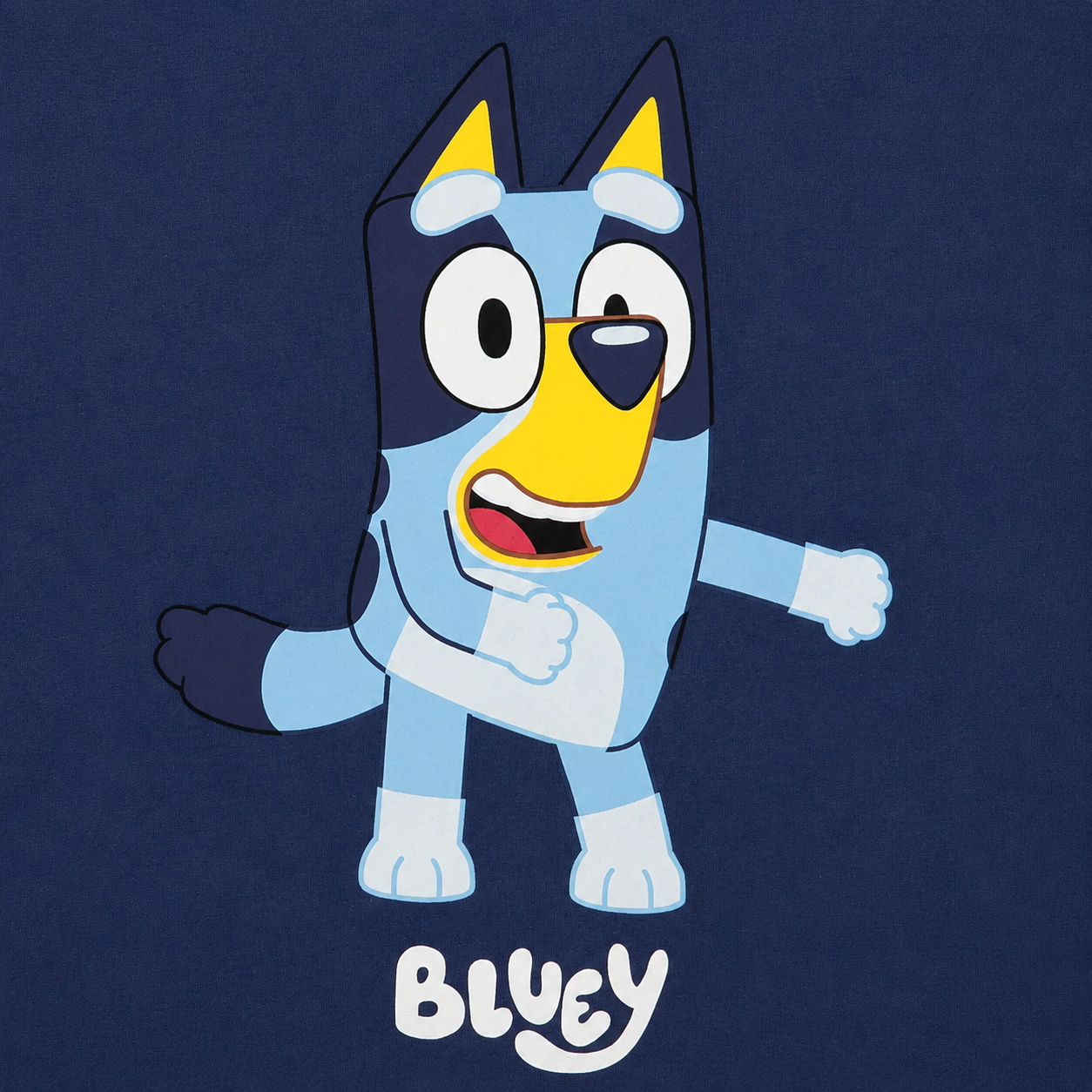 Playera de Bluey Tipo Disfraz Para Niños