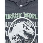Playera Jurassic World bebé vista frontal gris