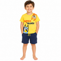 Conjunto Short Y Playera Para Niños Bluey Y Bingo
